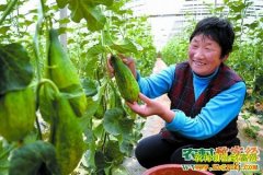 [ũ�����]��Ǵ���ϴ�����ֲ������Ƶ