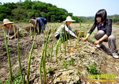 [ũ�����]�μ������«������Ƶ