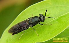 [�����е�]������Ϊ�����ˮ���Ǯ׬