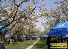 [�����е�]2015ũ���֣���½ɽ��԰�ũ����