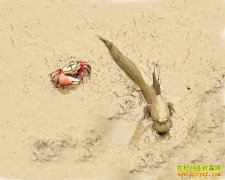 [ÿ��ũ��]��ˮҲ������������ܻ�ӭ