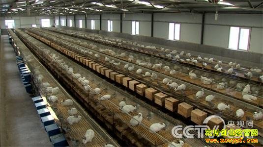 �����������뱻�۸��Ժ�