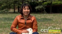 [�¸���]ɽ����Ƿ��ز�Ů�ϰ���ѩ�������¸���