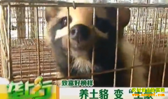 �¸��ð�������������� �¸��䡰������