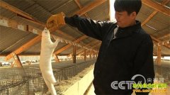 [�¸���]�������������߷���ѧ�ع�ȥ����