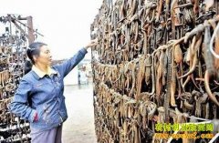 [ÿ��ũ��]��ΰ����ֳˮ���и���