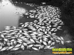 [�Ƽ�Է]׷�ٰ�Ķ������������