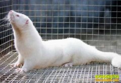 [�۽���ũ]�������� Ƥ���г����ᡰ�䡱��