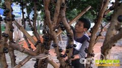 [�¸���]�������ϳ����ѱ���ҡǮ��