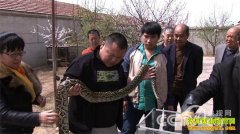 [�¸���]�ӱ��żҿڷ��������߹��������ͽ�