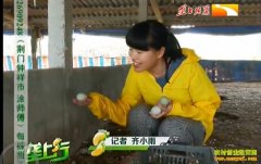 ��Ԫ�¸���Ŀ�������Ǯ������Ѽ