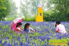 ��ֲ�¸���Ŀ������ѧ��ֲ޹�²�����԰