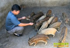 [ÿ��ũ��]���͵�Ұɽ��׬Ǯ���ŵ�