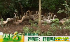 �¸��ð�������Ѽ��ͻ������ɽ����Ѽ