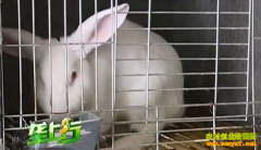 �¸��ð�����������ʦ������ ����ı��׬��Ǯ