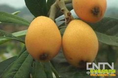 [ũ�����]���˸߲����༼����Ƶ