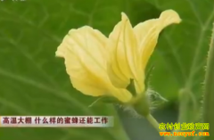 [�Ƽ�Է]���´���ʲô�����۷仹�ܹ���