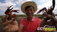 [�¸���]Ϻ���Է�����ֳС��Ϻ��ҵ��׬����