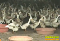 �¸��ð�������ֳ��ֻѼ ��׬20��