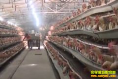 �¸��ð������������������� �Ƹ�������