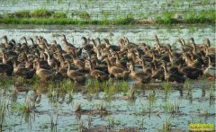 [ũ�����]����ýѼ��ֳ������Ƶ