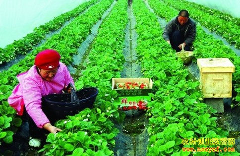 �����ݮ�۷��ڷ�ͼƬ