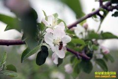 [ũ�����]�Ƕ�ڷ�����ڷۼ�����Ƶ