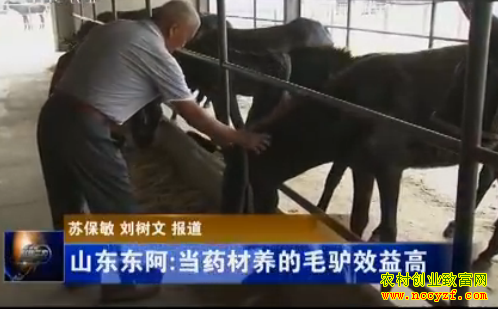 ��ģ����¿��ͼƬ