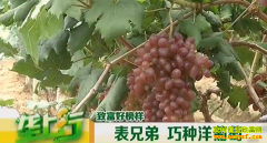 �¸��ð��������ֵ����������Ѵ�ҵ�¸�