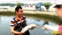 [�¸���]ɽ��۰����갺�ƽ������׬Ǯ�¸���