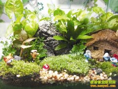 [ũ�����]̦޺΢���۵���������