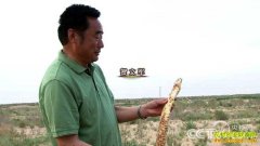 [�¸���]���ɹź��ľ���ֲ�������Ե�һǧ��Ԫ