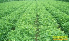 [ũ�����]��ֱ��������ֲ������Ƶ