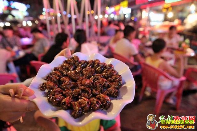 ��ͼ�����ղ�Ӽ����ʳ ����ץһ��׬����Ԫ