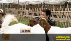 [�Ƽ�Է]�½���������������ɨ���������޽