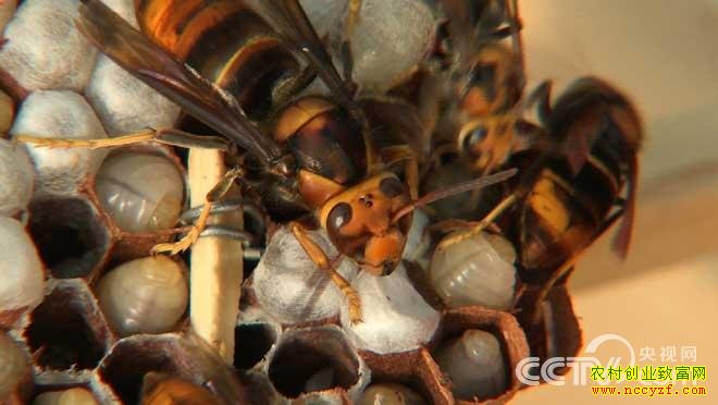 ���ϱ�ɽ����λ��ֳ����ͼƬ