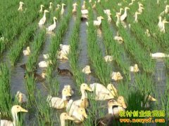 [�۽���ũ]����Ѽ���������л����׸�׬Ǯ