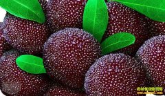 [ÿ��ũ��]���ͷ�Ķ�����÷���˰�