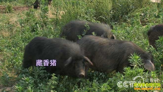 ������ô��  �Ҿ���Ҫ�ؼ��ֵ�����