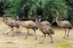 [ÿ��ũ��]���еڶ������Ҳ׬Ǯ