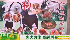 ��ֳ�¸���Ŀ����ȮΪ�� ��������