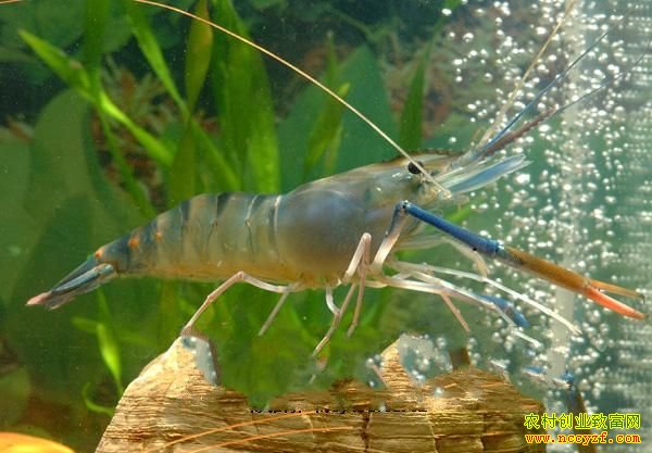 ������Ϻ��̫��2��