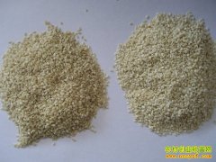 [ũ�����]֥��ӹ�������Ƶ