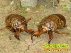 [�۽���ũ]СС��������¸���