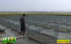 ��ֳ�¸���Ŀ��������ֳ���¸�