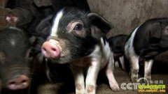 [�¸���]���������������������ʵ�ֲƸ���ת