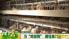 ��ֳ�¸���Ŀ����������ķ����������׬Ǯ���ŵ�