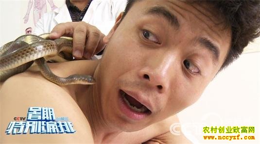 ��ֳ�����飨3��