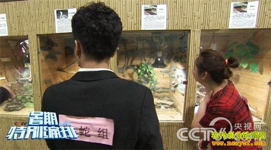 ��ֳ�����飨3��