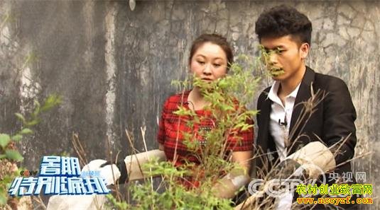 ��ֳ�����飨3��